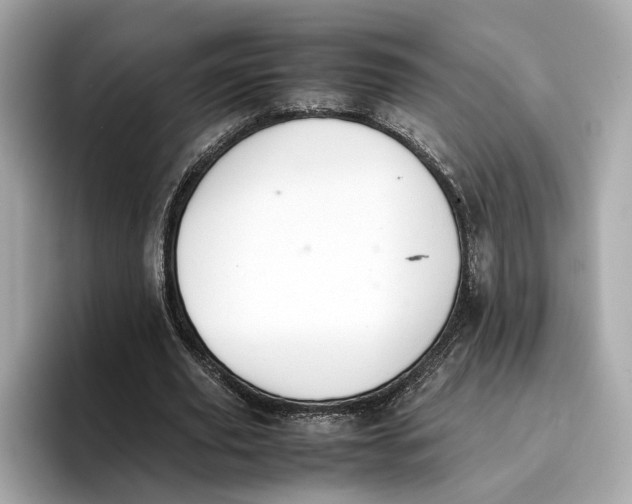 X0000096650629200802261321