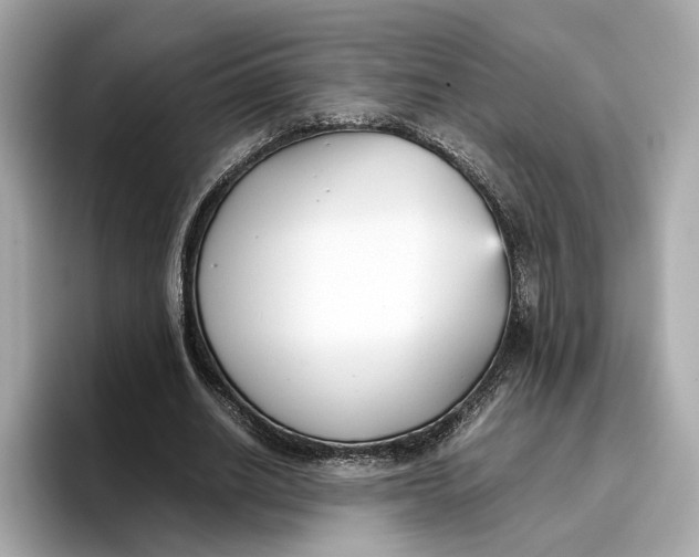 X0000096650630200802261321