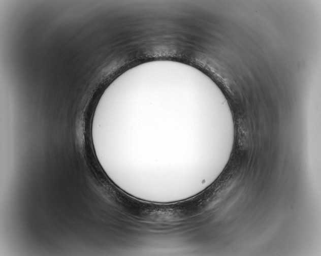 X0000096650631200802261321