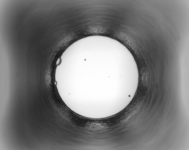 X0000096650635200802261321