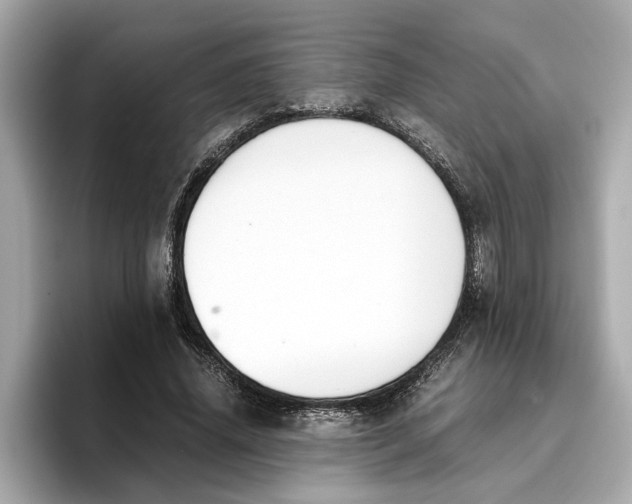 X0000096650636200802261321