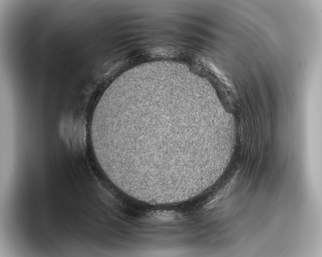 X0000096650637200802261321