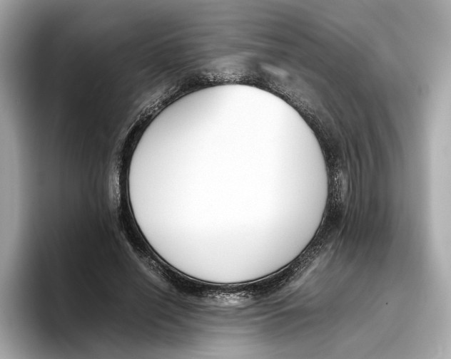 X0000096650638200802261321