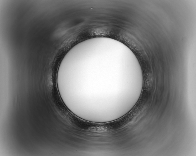 X0000096650639200802261321