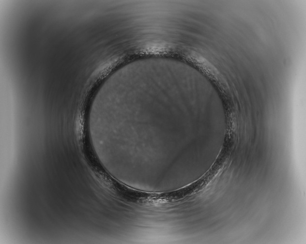 X0000096650640200802261321