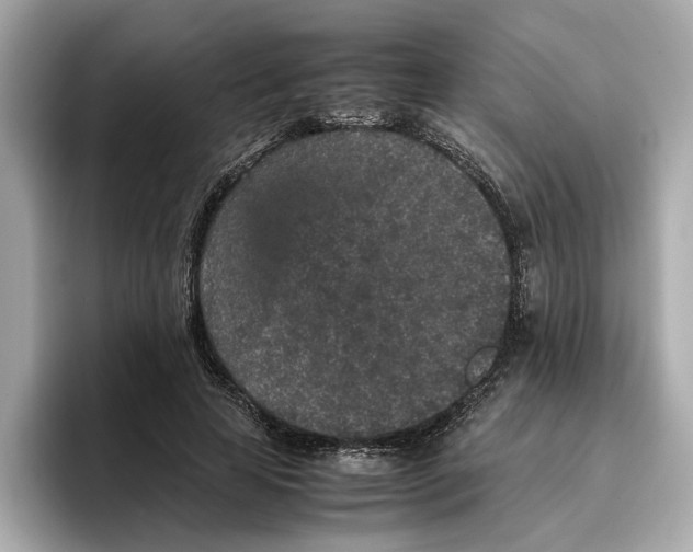 X0000096650641200802261321