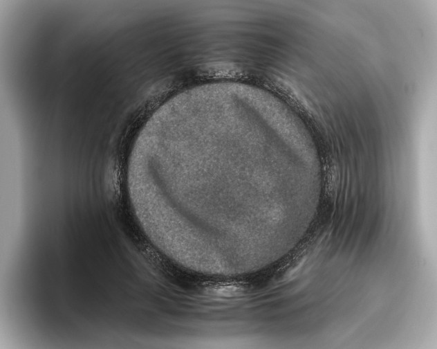 X0000096650643200802261321