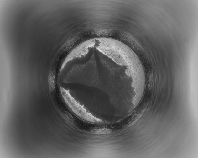 X0000096650644200802261321