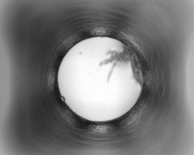 X0000096650645200802261321