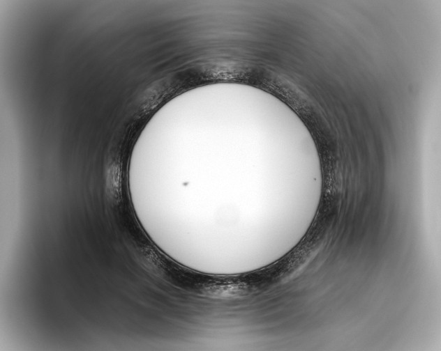 X0000096650646200802261321