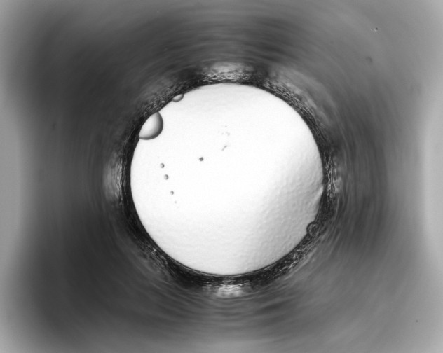 X0000096650647200802261321