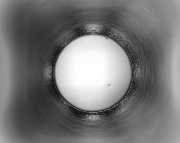 X0000096650649200802261321