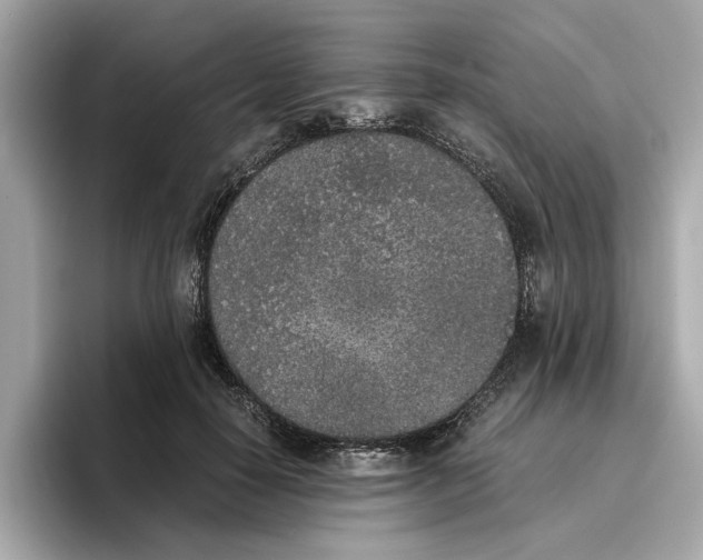 X0000096650650200802261321