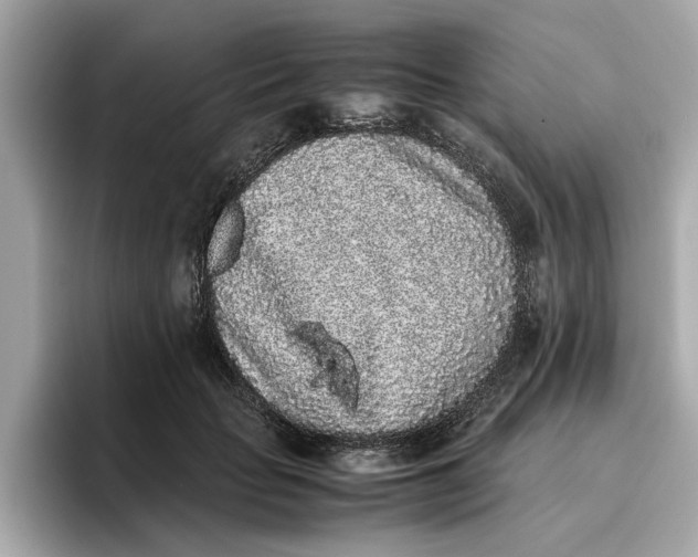 X0000096650653200802261321