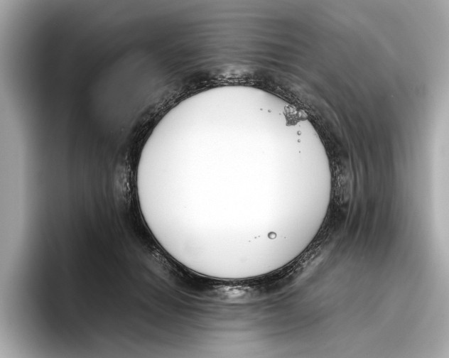 X0000096650654200802261321