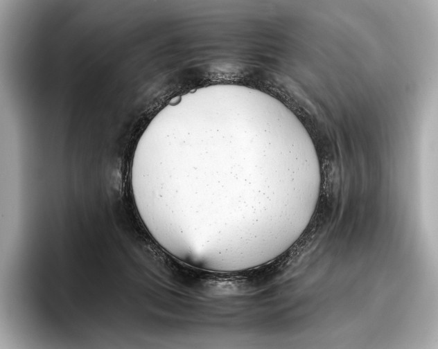 X0000096650655200802261321