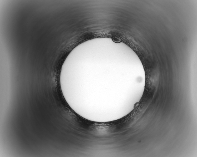 X0000096650658200802261322