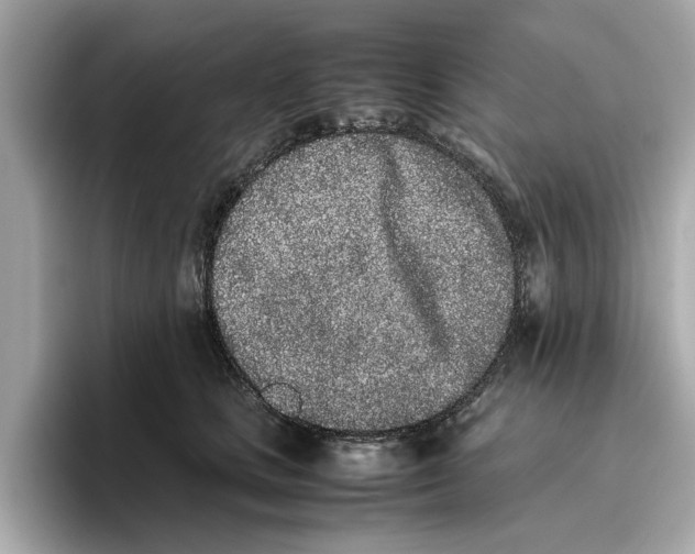 X0000096650661200802261322