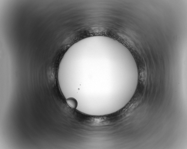 X0000096650662200802261322