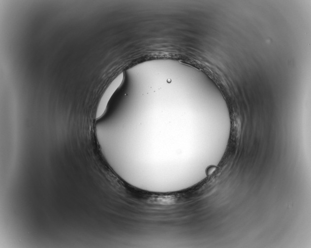 X0000096650665200802261322