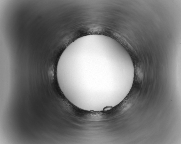 X0000096650668200802261322