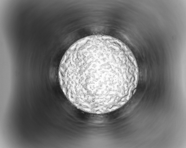 X0000096650671200802261322