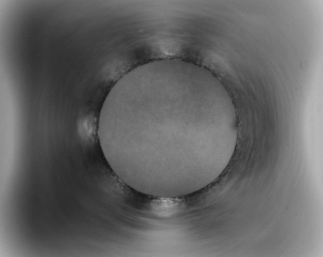 X0000096650672200802261322