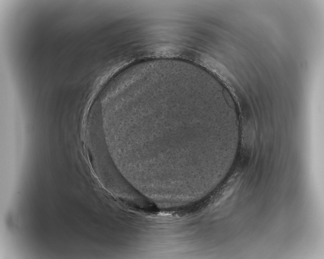 X0000096650673200802261321