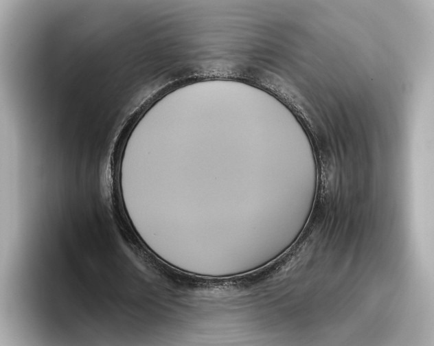 X0000096650674200802261321