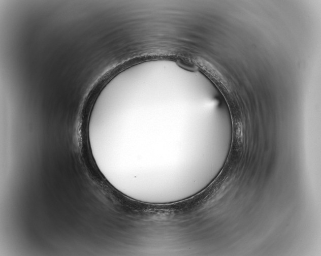 X0000096650676200802261321