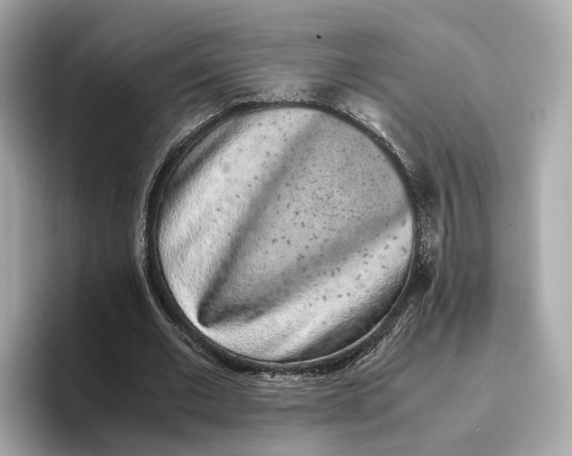 X0000096650677200802261321