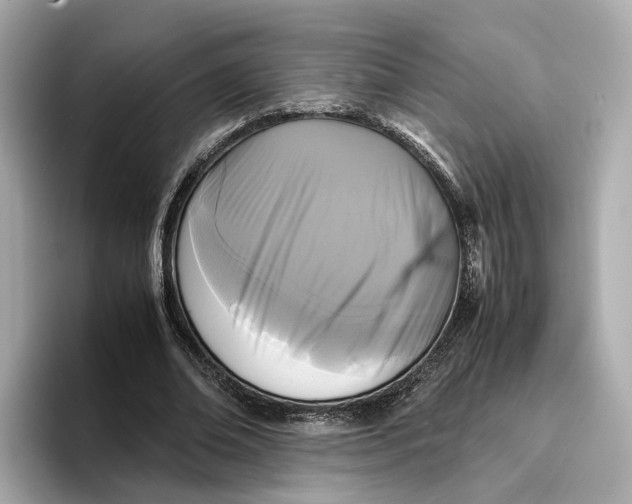 X0000096650678200802261321