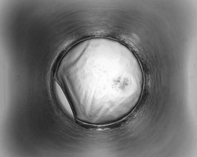 X0000096650679200802261321