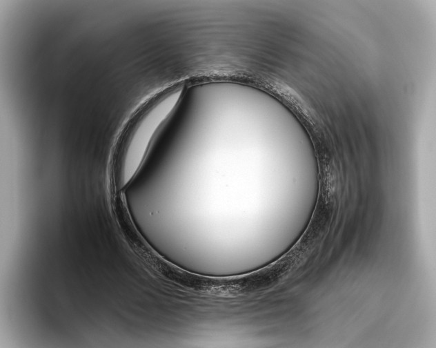 X0000096650680200802261321