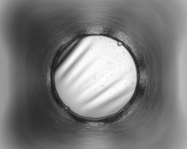 X0000096650681200802261321