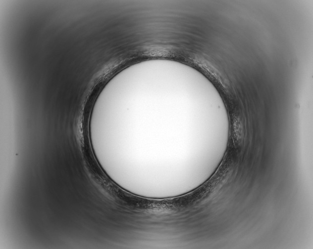 X0000096650682200802261321