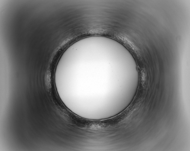 X0000096650684200802261321