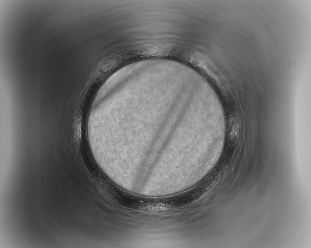 X0000096650685200802261321