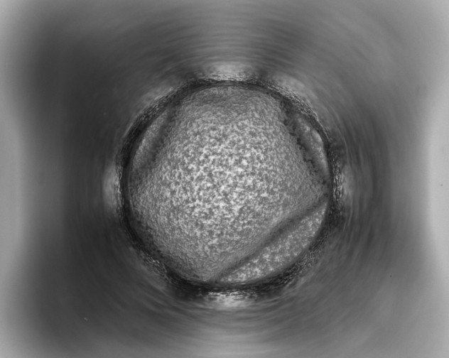 X0000096650688200802261321