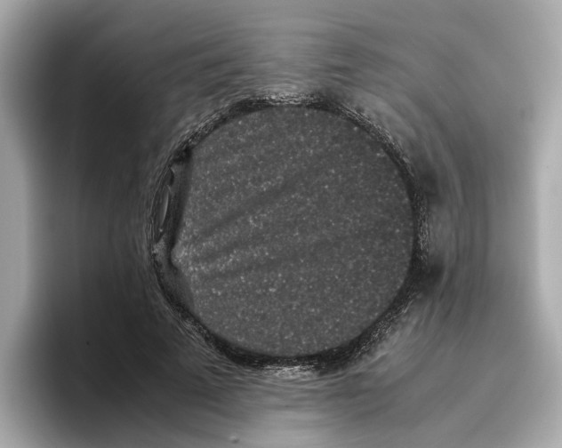 X0000096650689200802261321