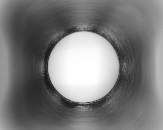 X0000096650690200802261321