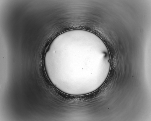 X0000096650691200802261321