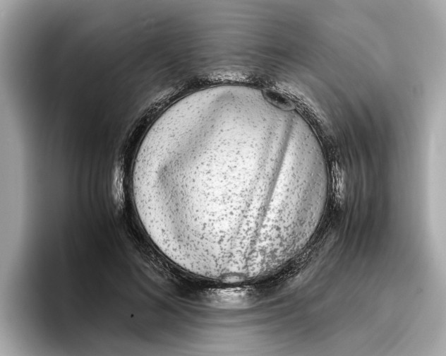 X0000096650692200802261321