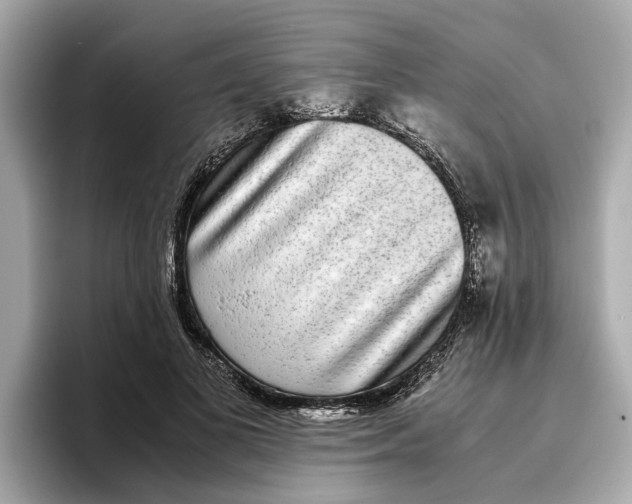 X0000096650693200802261321