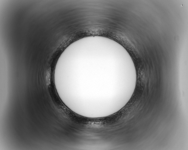 X0000096650694200802261321