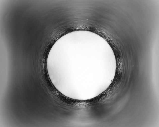 X0000096650695200802261321