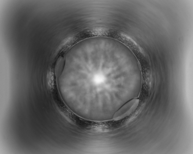 X0000096650696200802261321