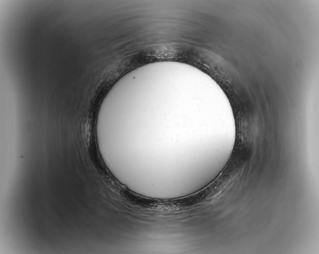 X0000096650697200802261321