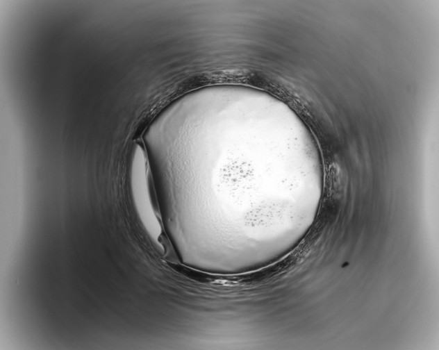 X0000096650699200802261321