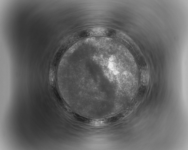 X0000096650701200802261321